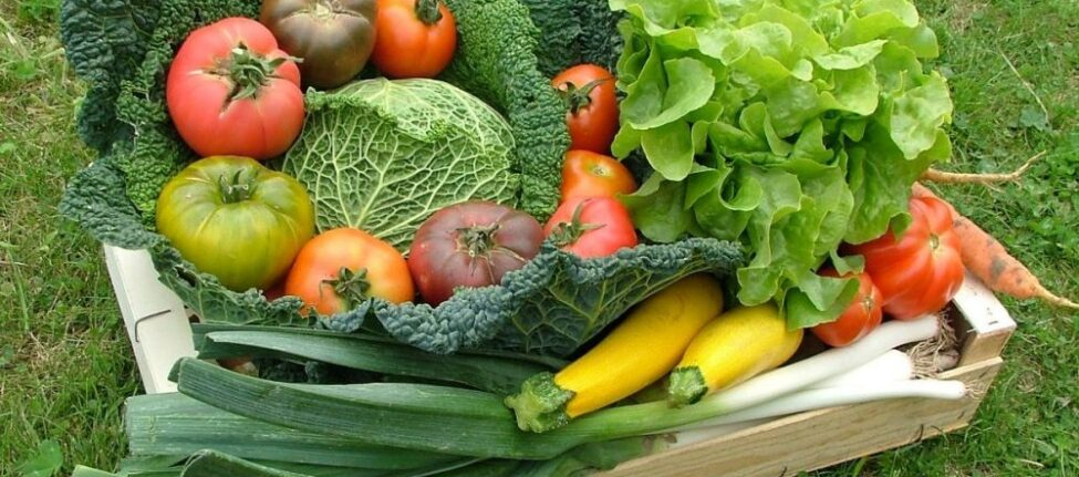 De bons fruit et légumes bio